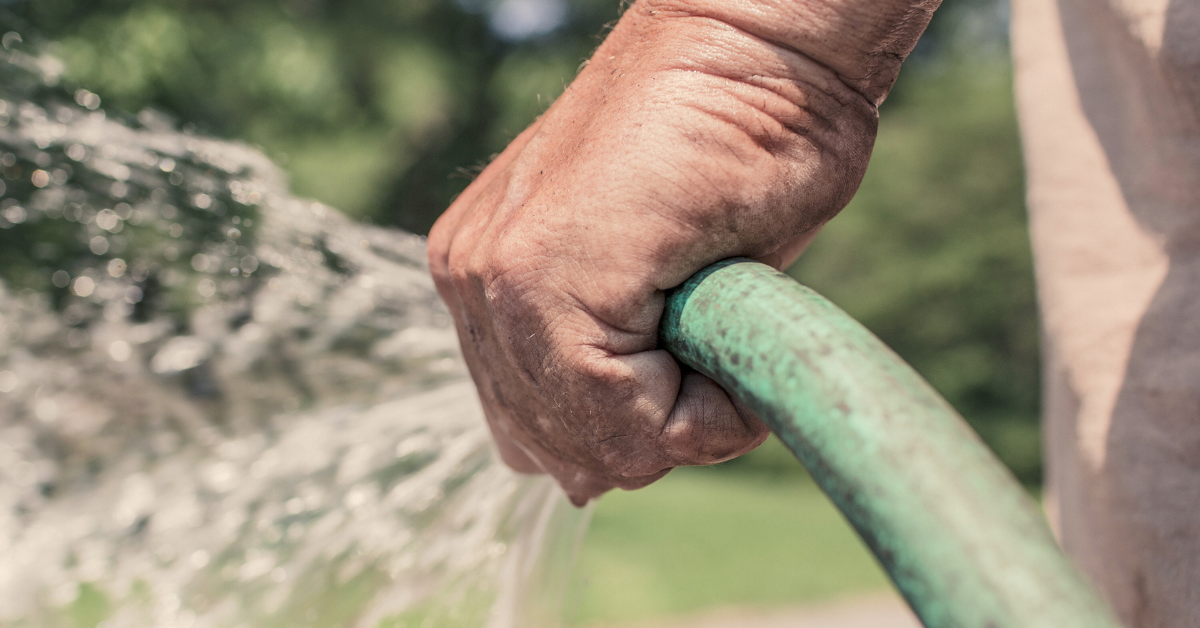 how often should i water my lawn in the summer