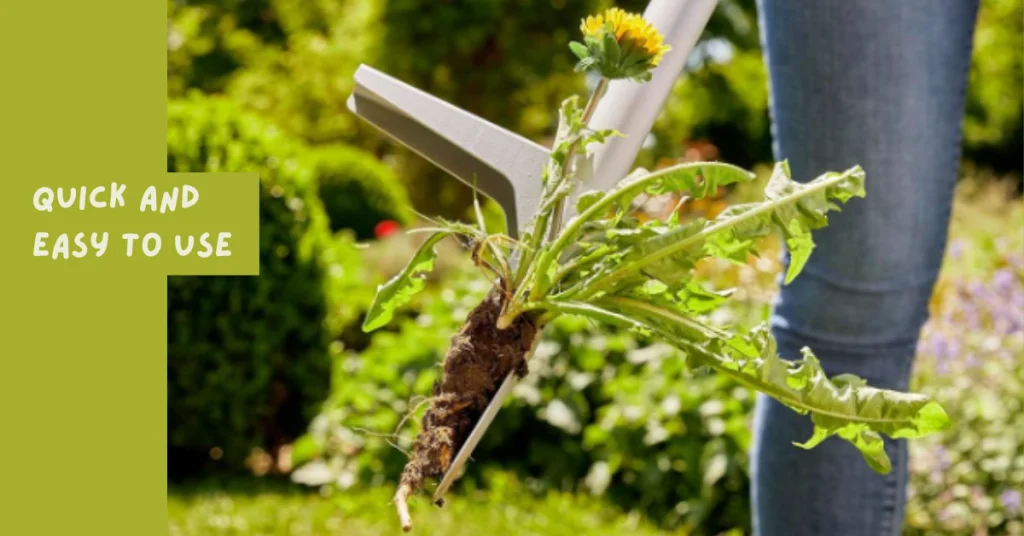 best weed removal tool