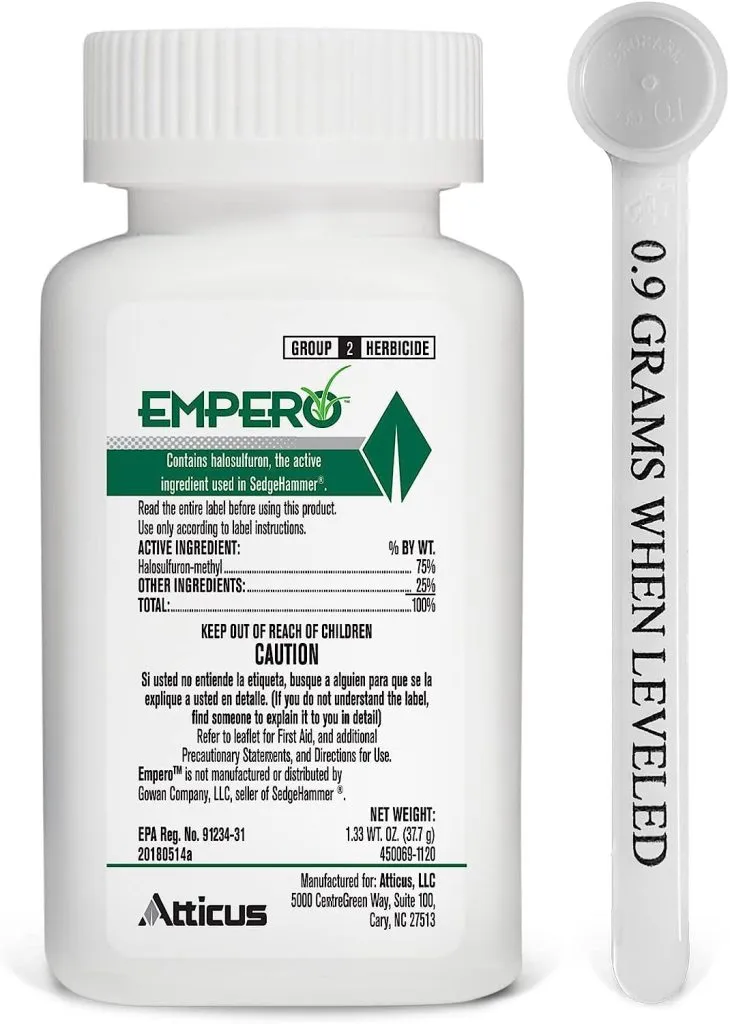 nutsedge • empero herbicide bottle • empero bottle spoon • empero herbicide bottle • empero spyaing nutsedge • nutsedge spraying • nutsedge-herbicide • sedgehammer_nutsedge killer herbicide • certainty turf herbicide nutsedge killer • tenacity herbicide • ortho nutsedge killer • nutsedge nutgrass • nutsedge in lawn • nutsedge grass • nut grass weeds • nutsedge-nutgrass • nutsedge • nutsedge-weeds • weed killers • lawn weeds • weeds in lawns • lawn weed killer 