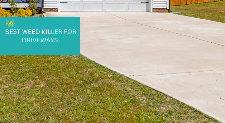 Best weed killer for driveways
